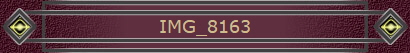 IMG_8163