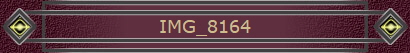 IMG_8164